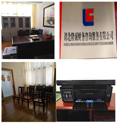 湖北隆誠(chéng)財(cái)務(wù)咨詢服務(wù) 專業(yè)賦能，助力企業(yè)穩(wěn)健發(fā)展